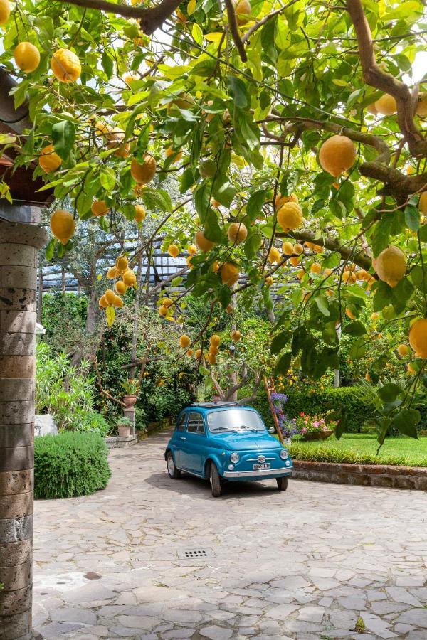 Villa Maresca B&B Piano di Sorrento Dış mekan fotoğraf