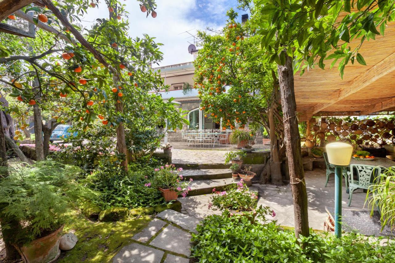 Villa Maresca B&B Piano di Sorrento Dış mekan fotoğraf