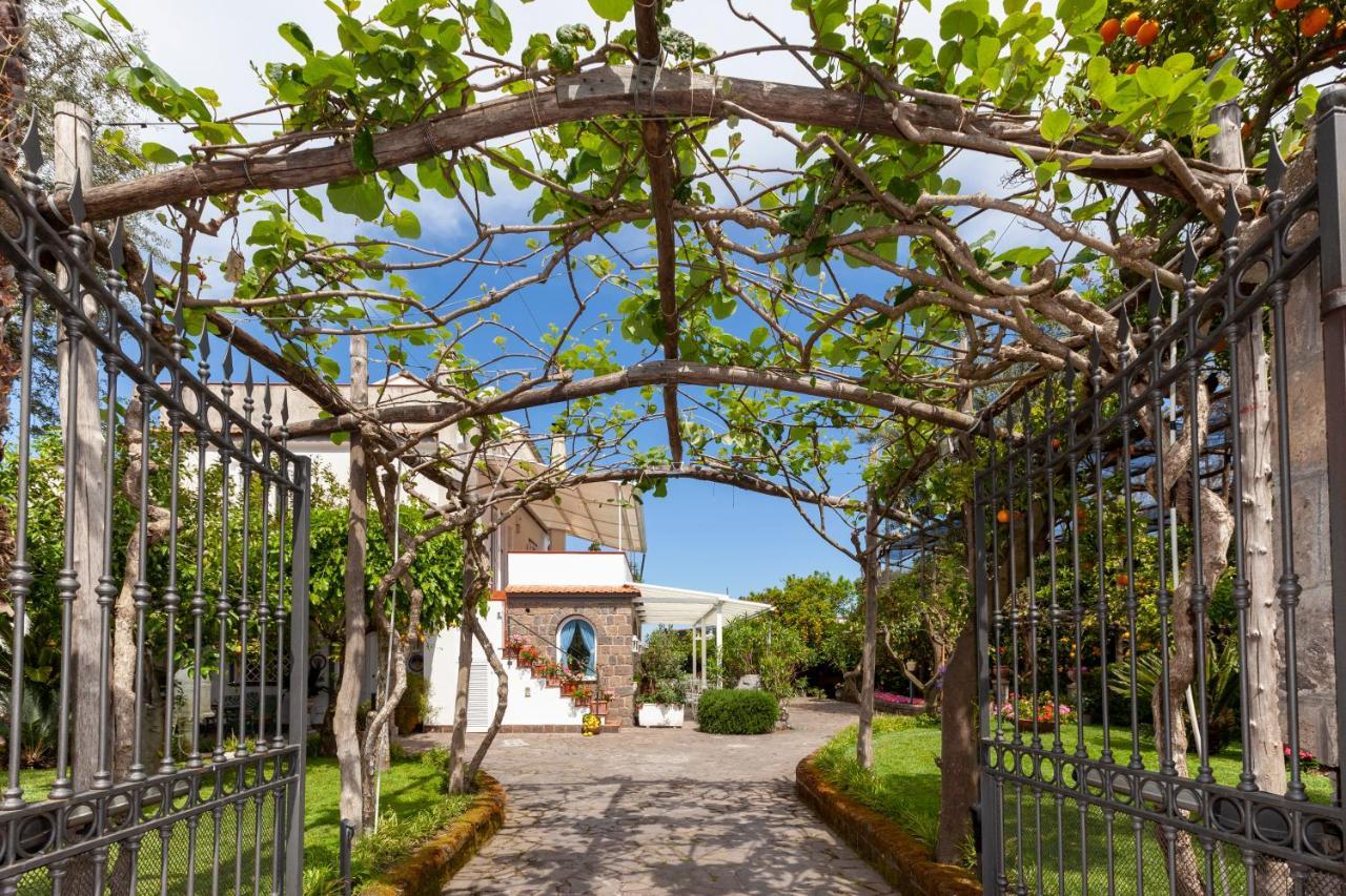Villa Maresca B&B Piano di Sorrento Dış mekan fotoğraf