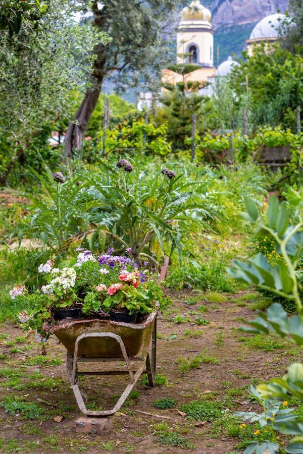 Villa Maresca B&B Piano di Sorrento Dış mekan fotoğraf