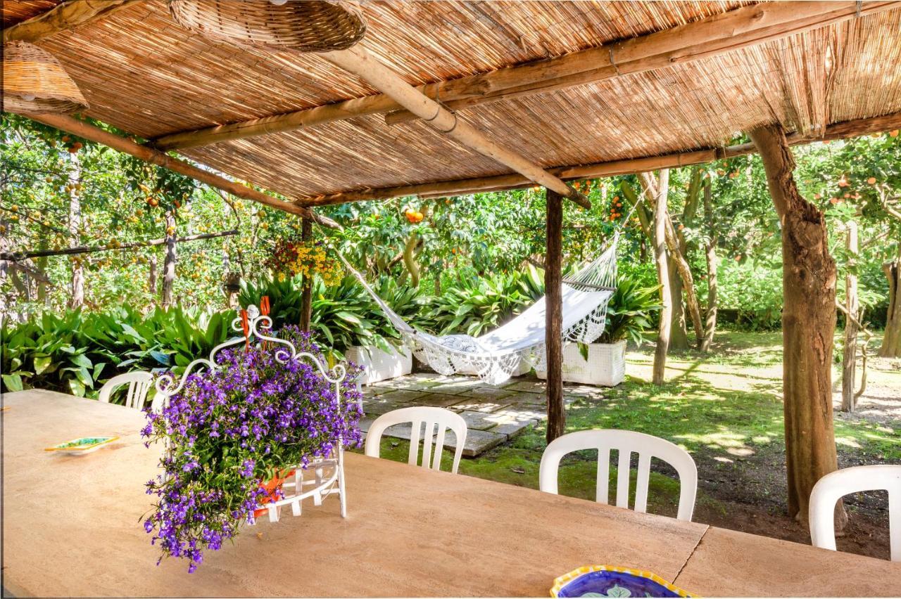 Villa Maresca B&B Piano di Sorrento Dış mekan fotoğraf