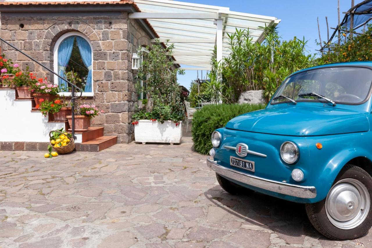 Villa Maresca B&B Piano di Sorrento Dış mekan fotoğraf