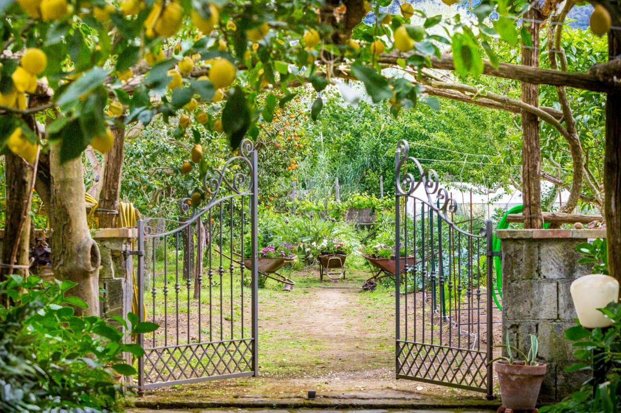 Villa Maresca B&B Piano di Sorrento Dış mekan fotoğraf