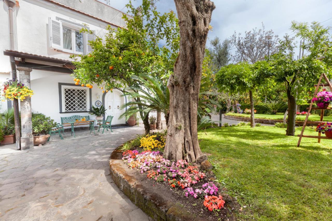 Villa Maresca B&B Piano di Sorrento Dış mekan fotoğraf