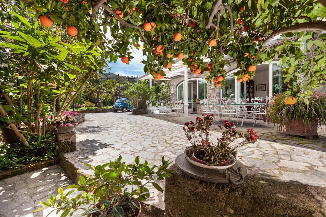 Villa Maresca B&B Piano di Sorrento Dış mekan fotoğraf