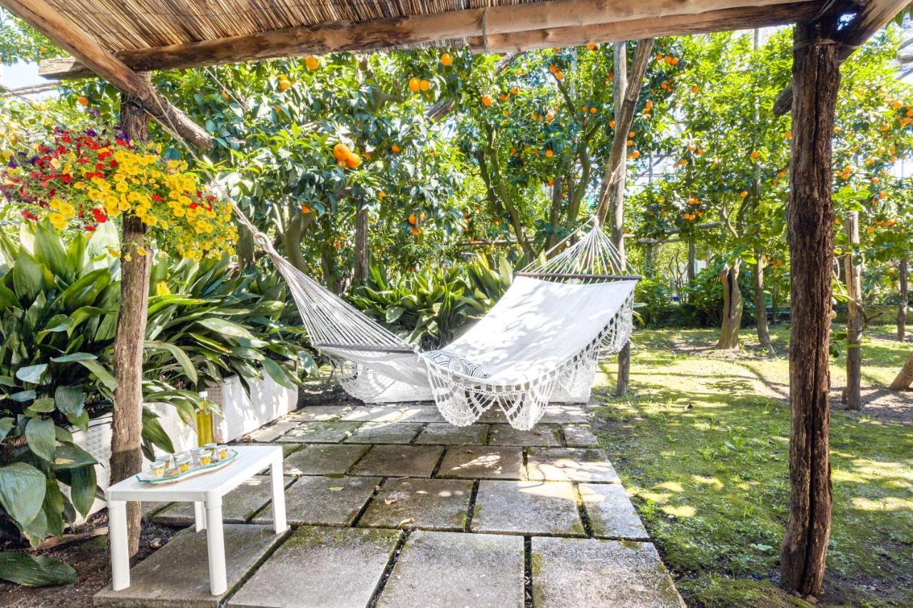 Villa Maresca B&B Piano di Sorrento Dış mekan fotoğraf
