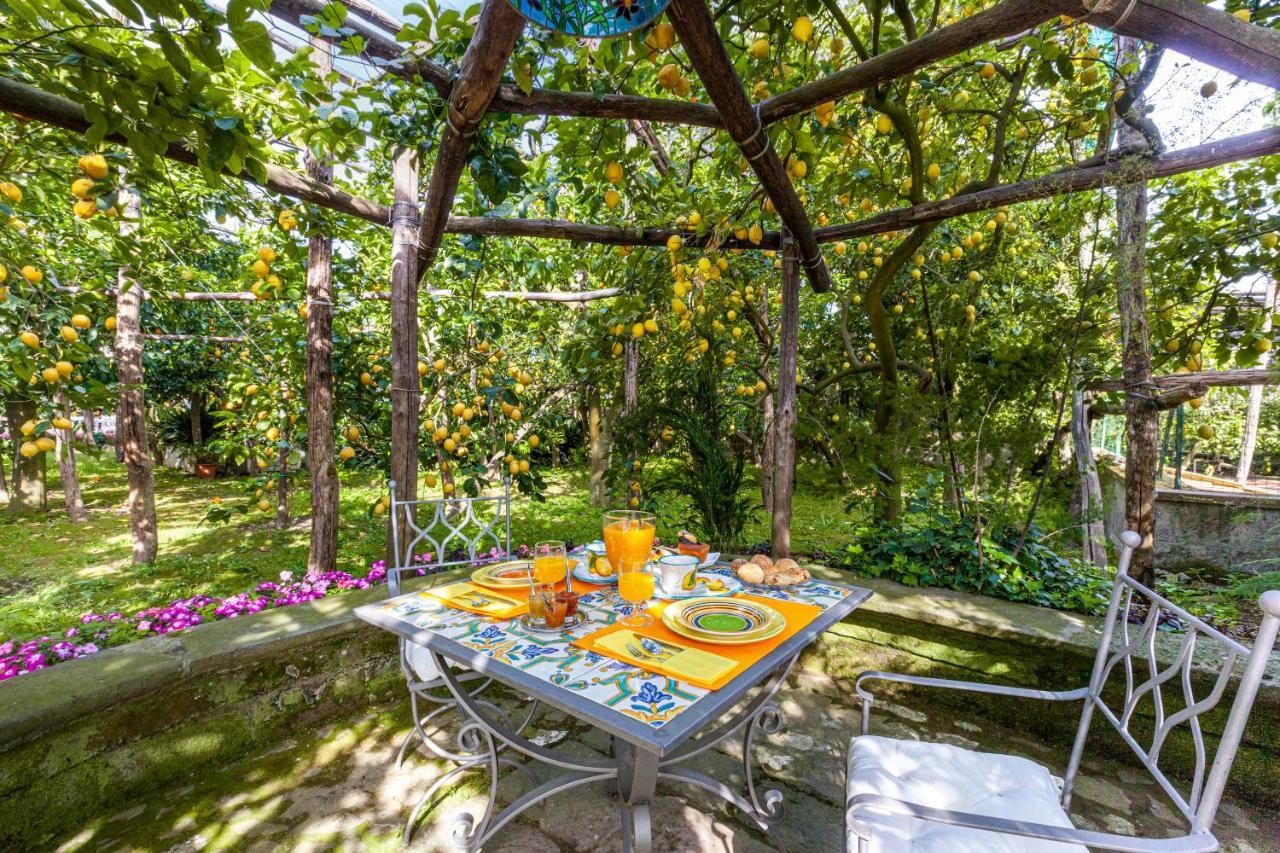 Villa Maresca B&B Piano di Sorrento Dış mekan fotoğraf