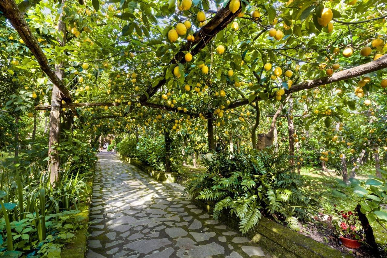 Villa Maresca B&B Piano di Sorrento Dış mekan fotoğraf