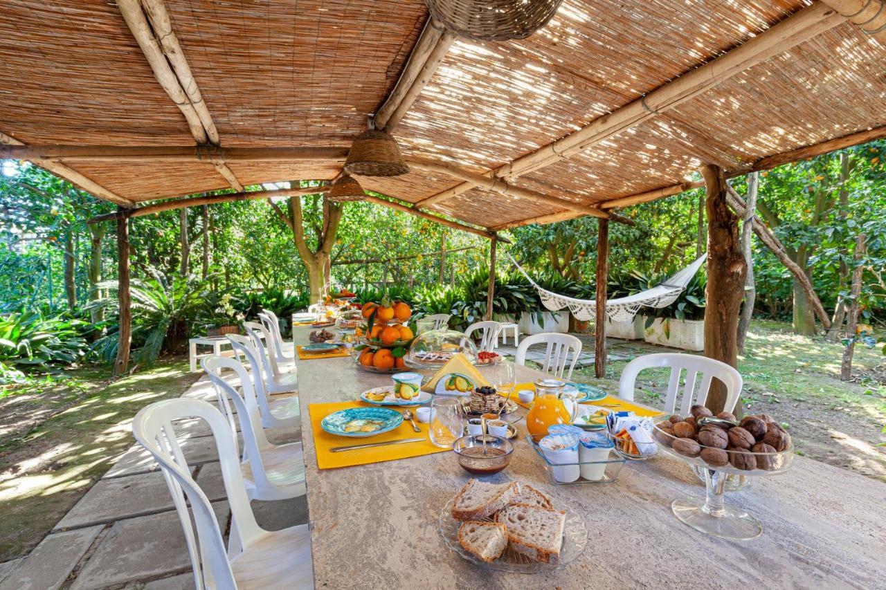 Villa Maresca B&B Piano di Sorrento Dış mekan fotoğraf