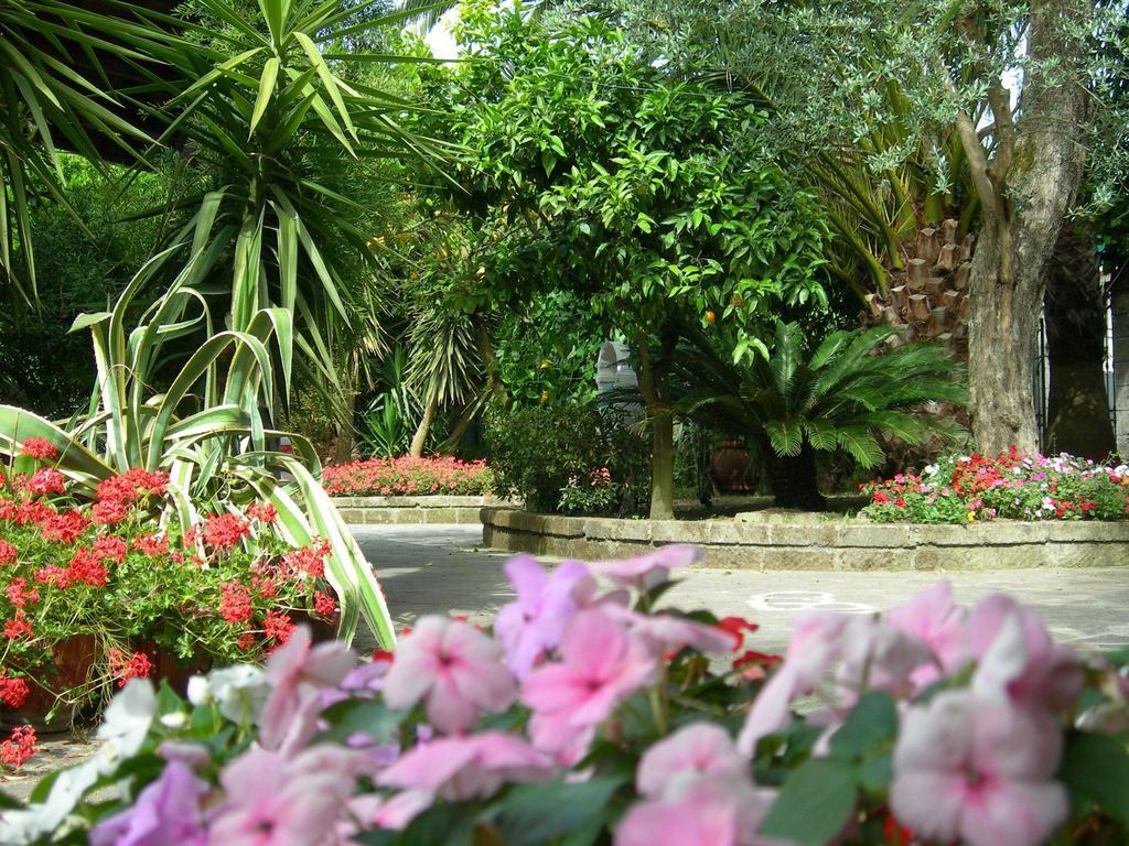 Villa Maresca B&B Piano di Sorrento Dış mekan fotoğraf