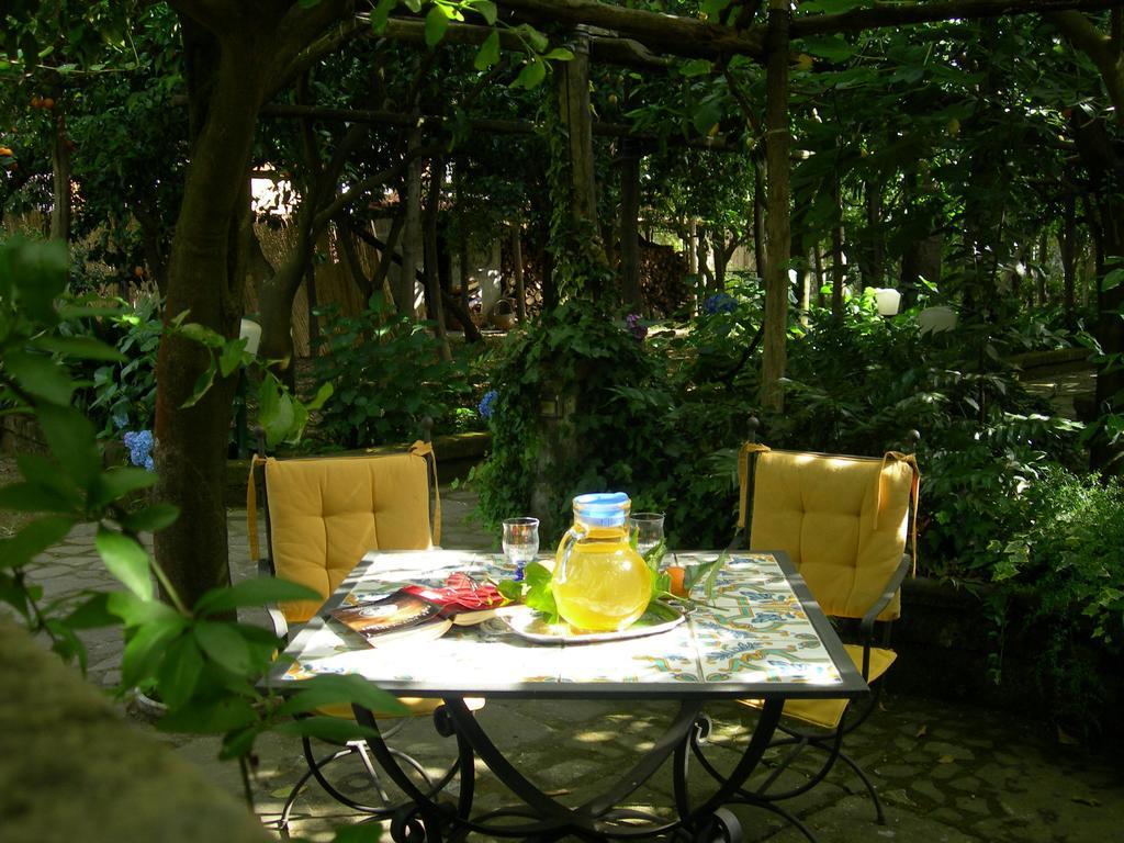 Villa Maresca B&B Piano di Sorrento Dış mekan fotoğraf
