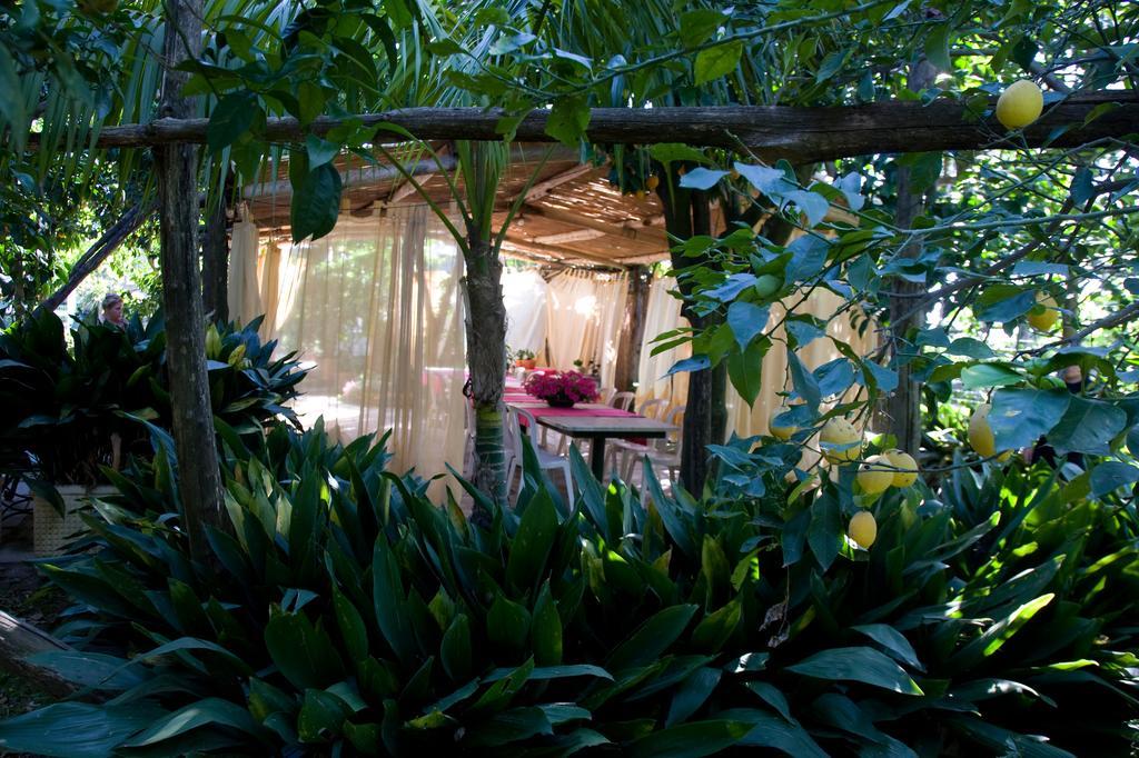 Villa Maresca B&B Piano di Sorrento Dış mekan fotoğraf